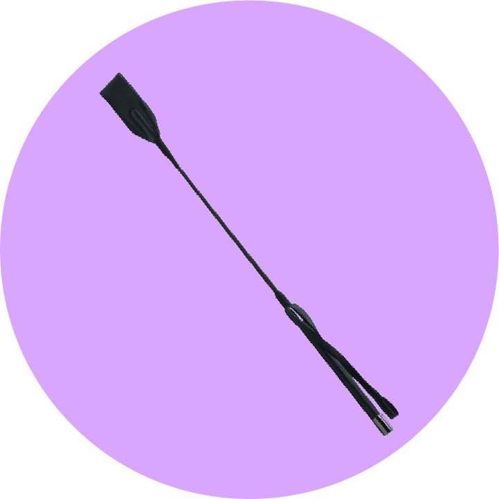 Frustino e Paddle BDSM