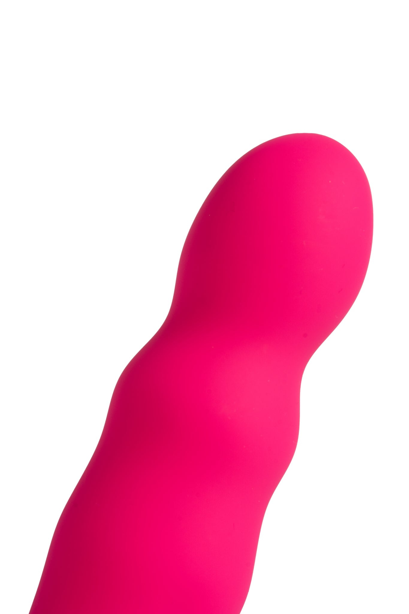 GAYpardo (4)