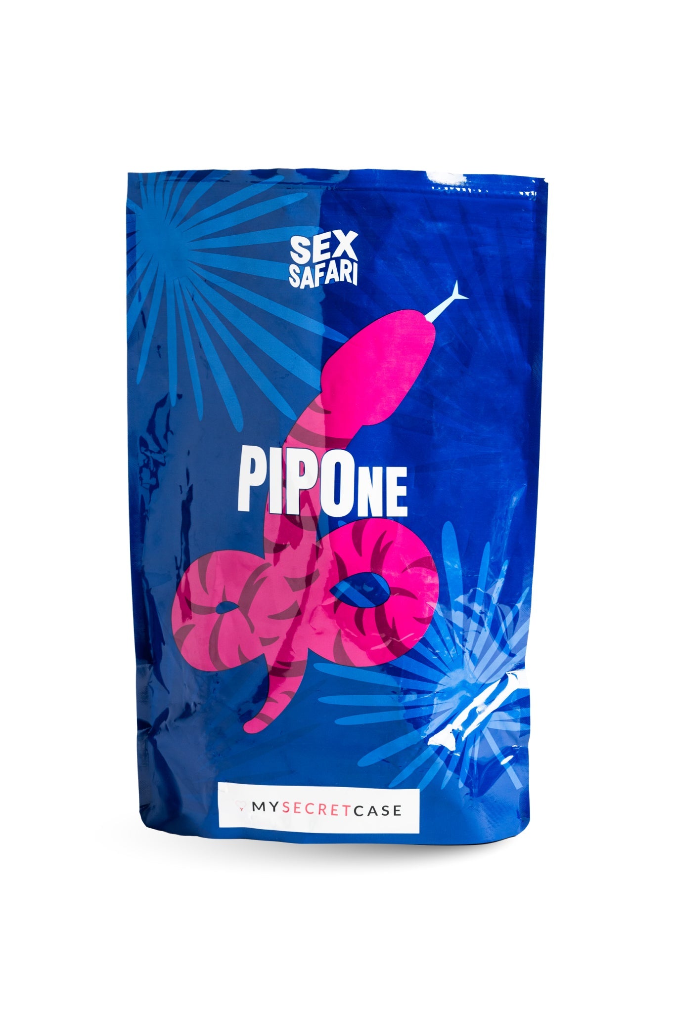 PIPOne (4)