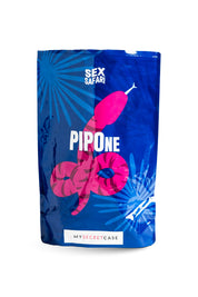 PIPOne (4)