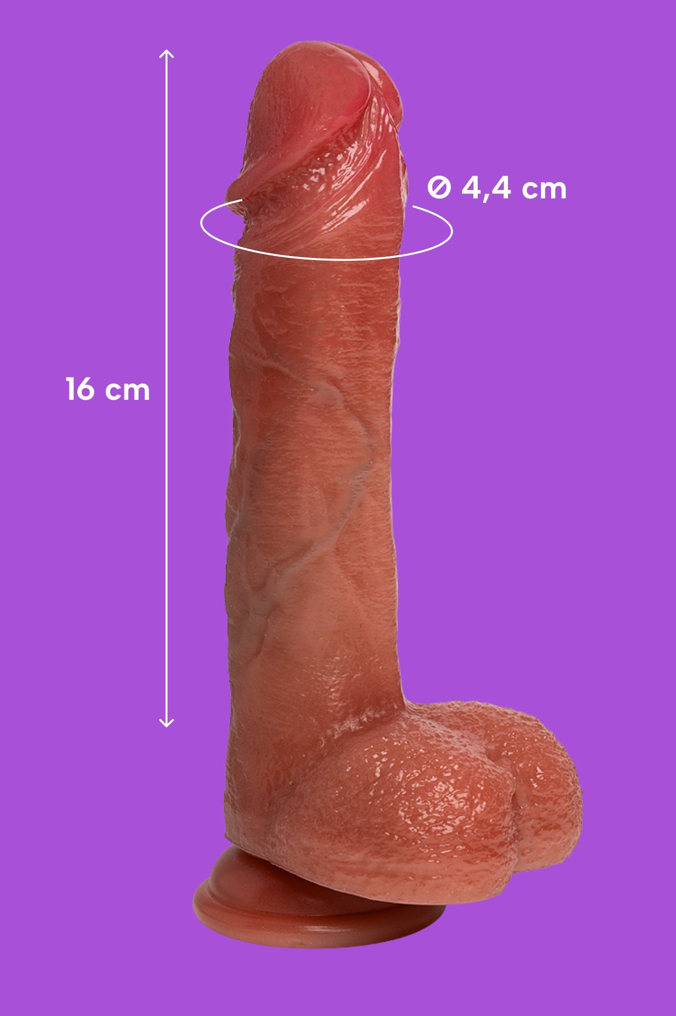 Filiberto (6)