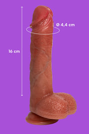 Filiberto (6)