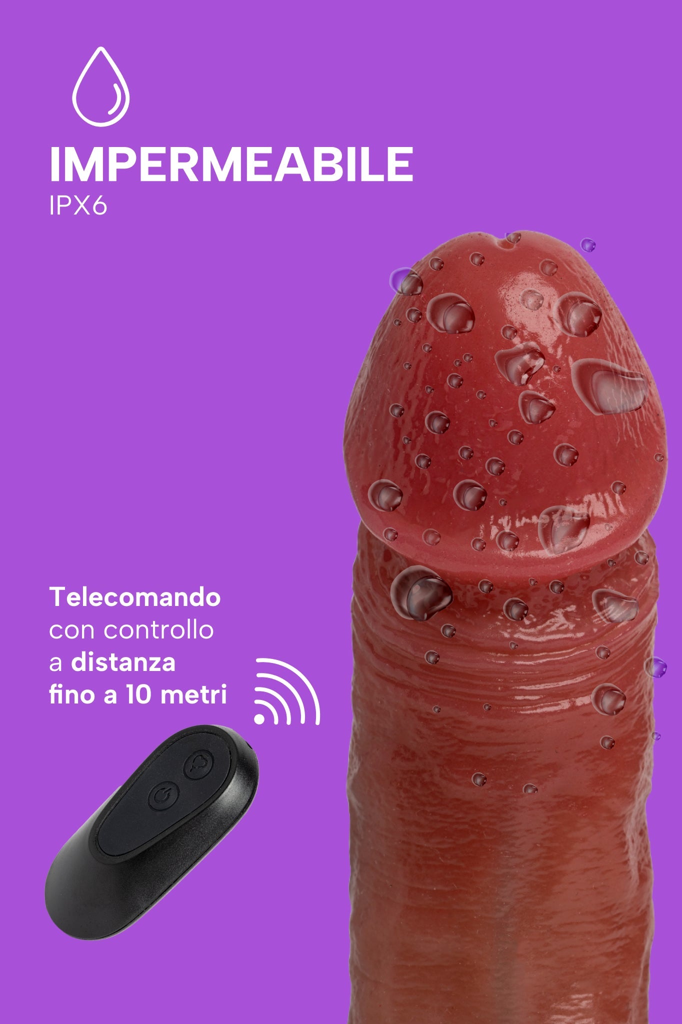 Filiberto (5)