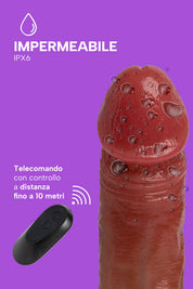 Filiberto (5)