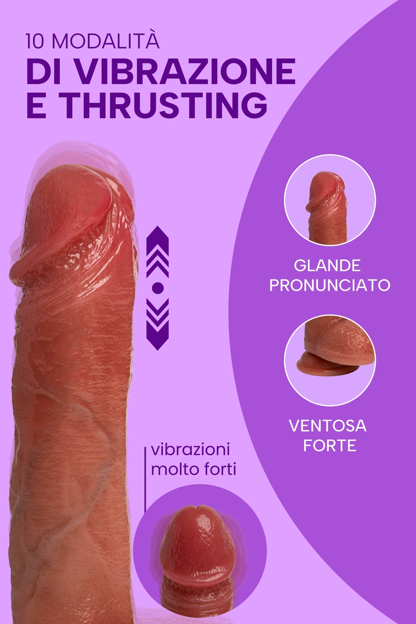 Filiberto (3)