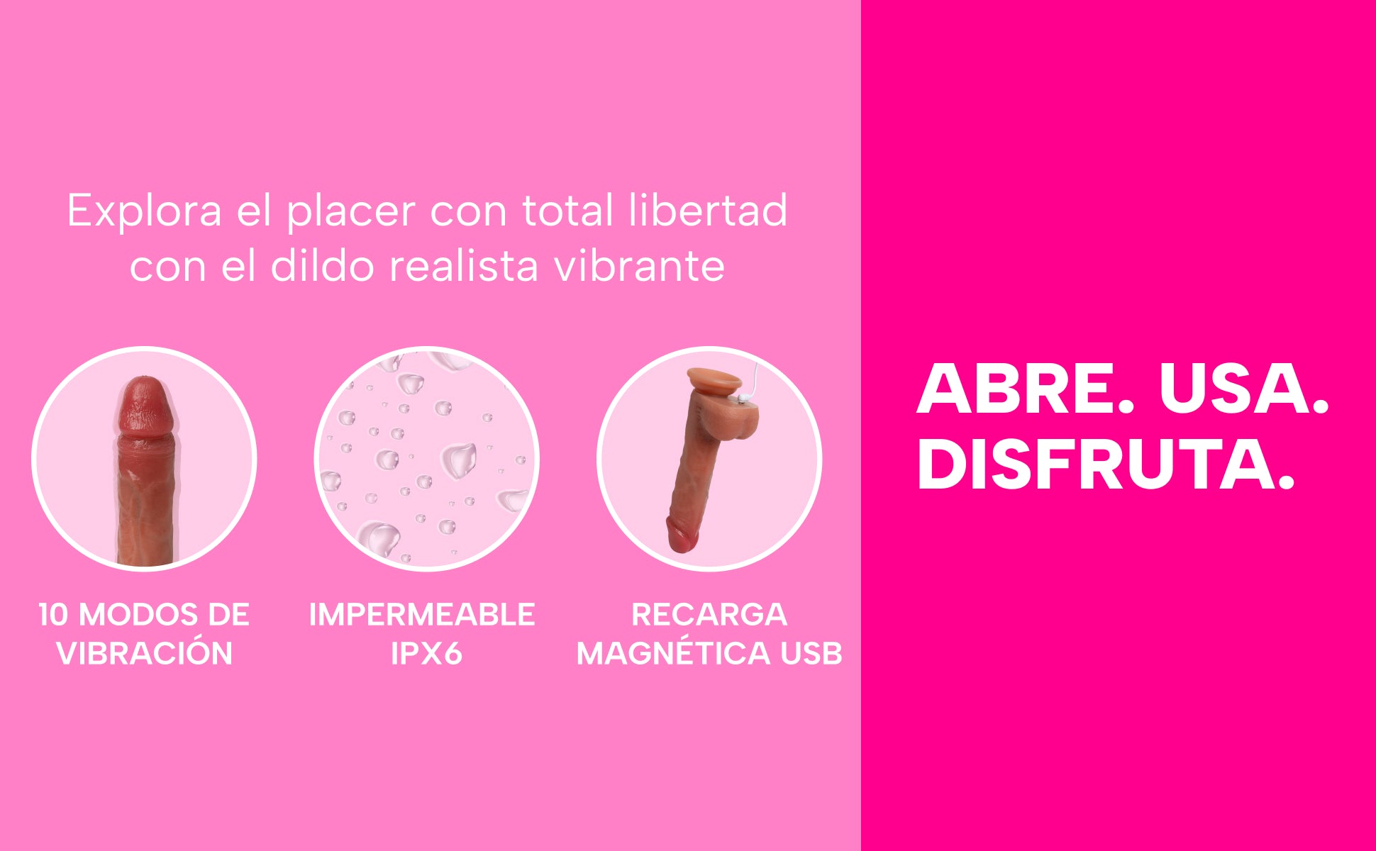 mysecretcase-dildo-realistico-vibrante-orlando-info-desktop-spagna.jpg