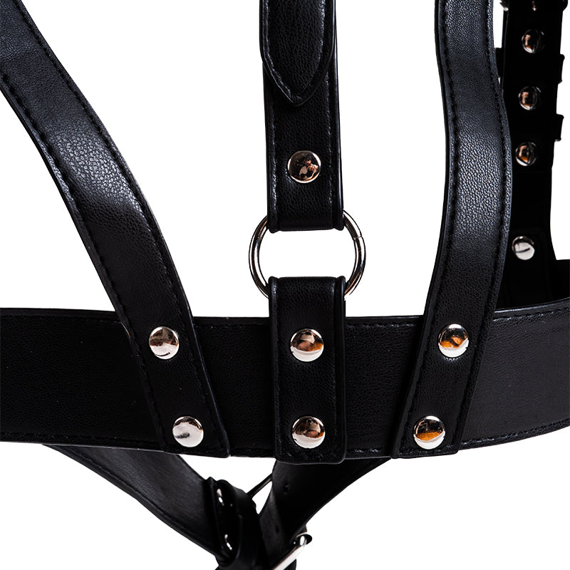 Lady Mistress (5)