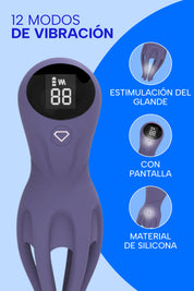 Polposition