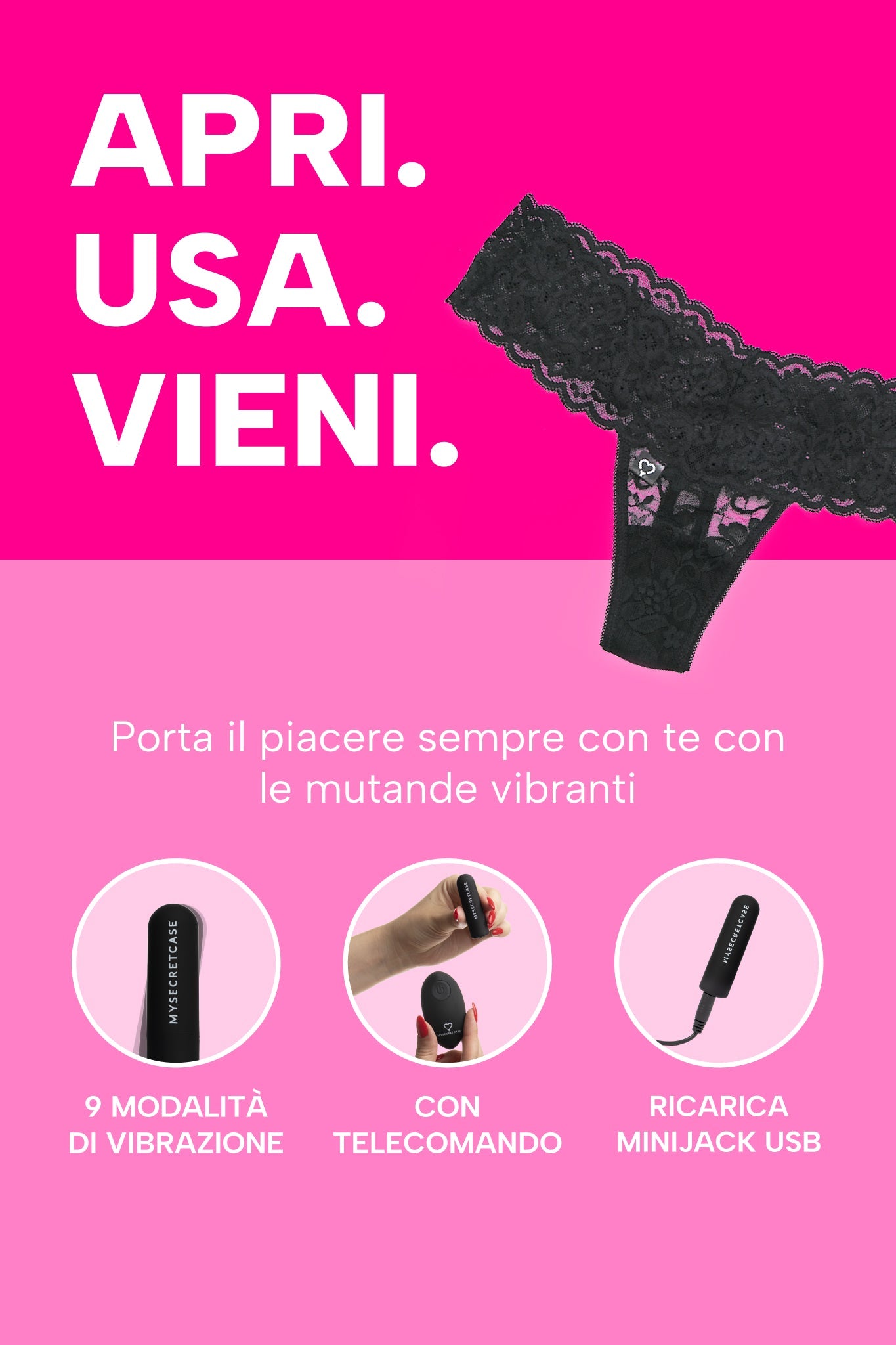 mysecretcase-my-secret-panty-info.jpg
