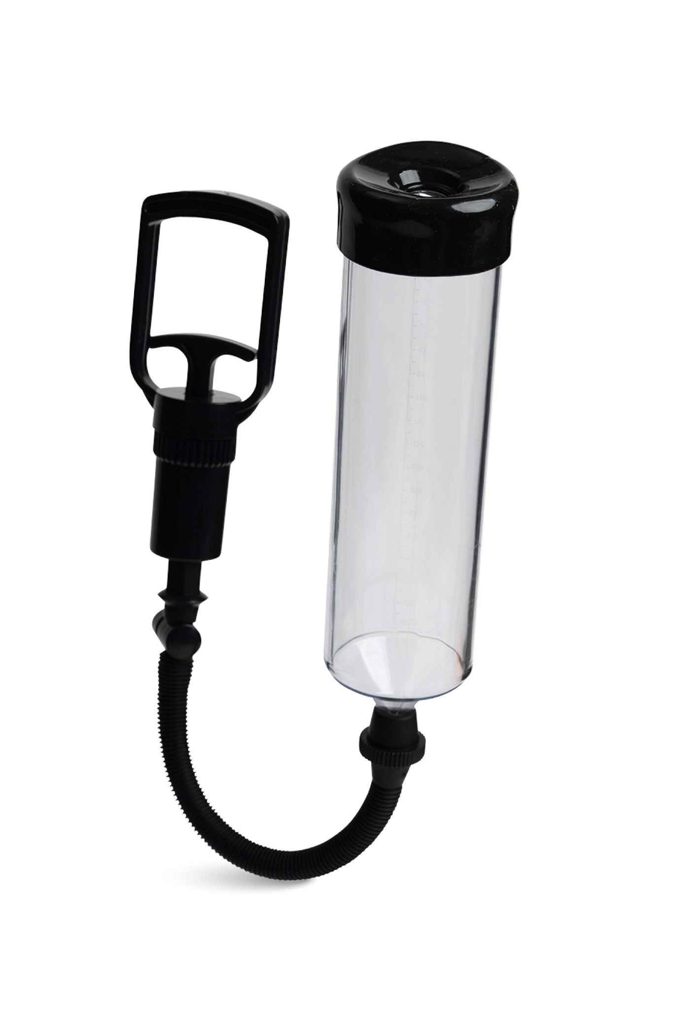 Pompelma (3)