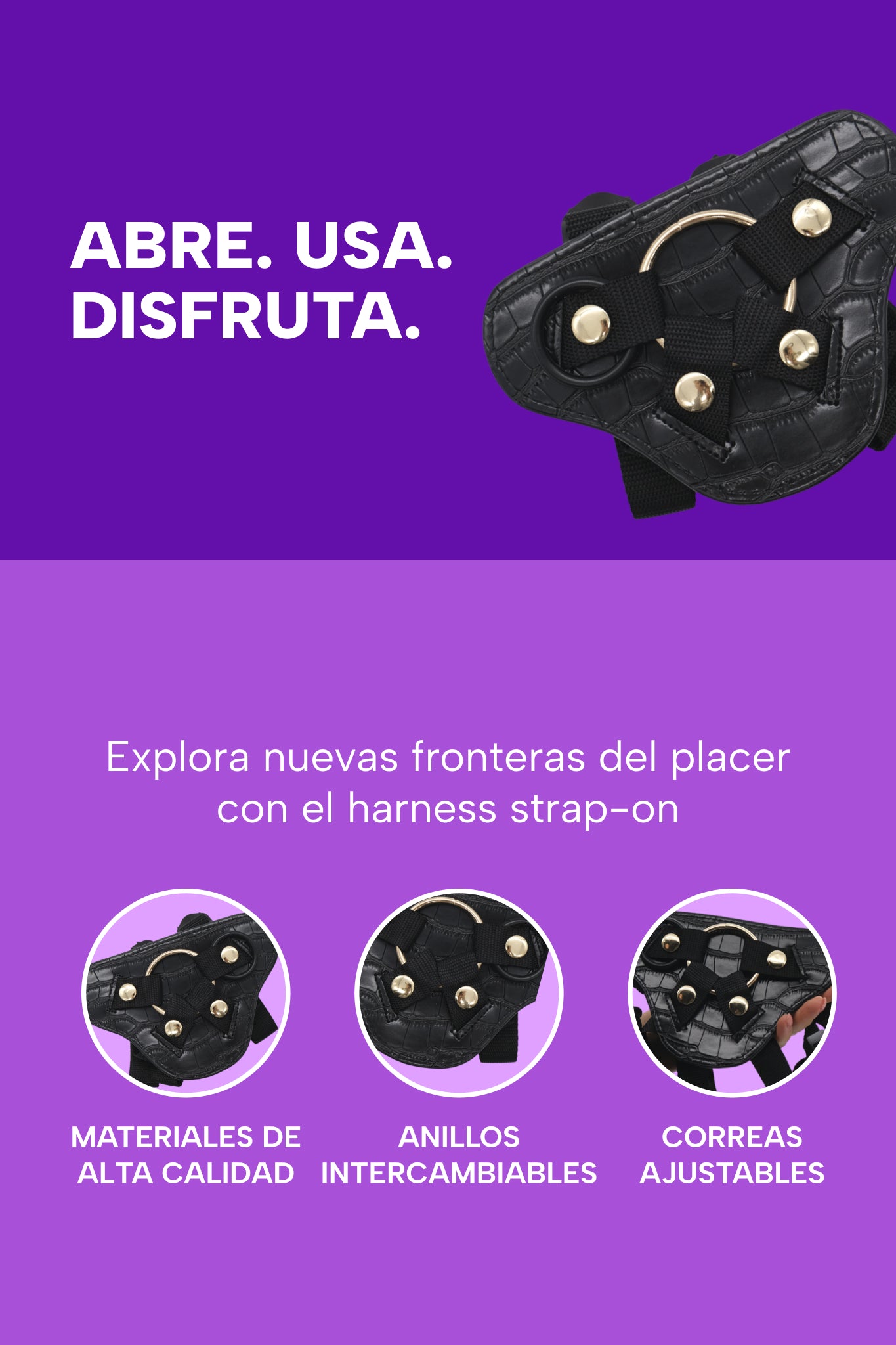 mysecretcase-strap-on-harnessto-info-spagna.jpg