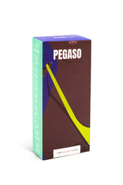 Pegaso (11)