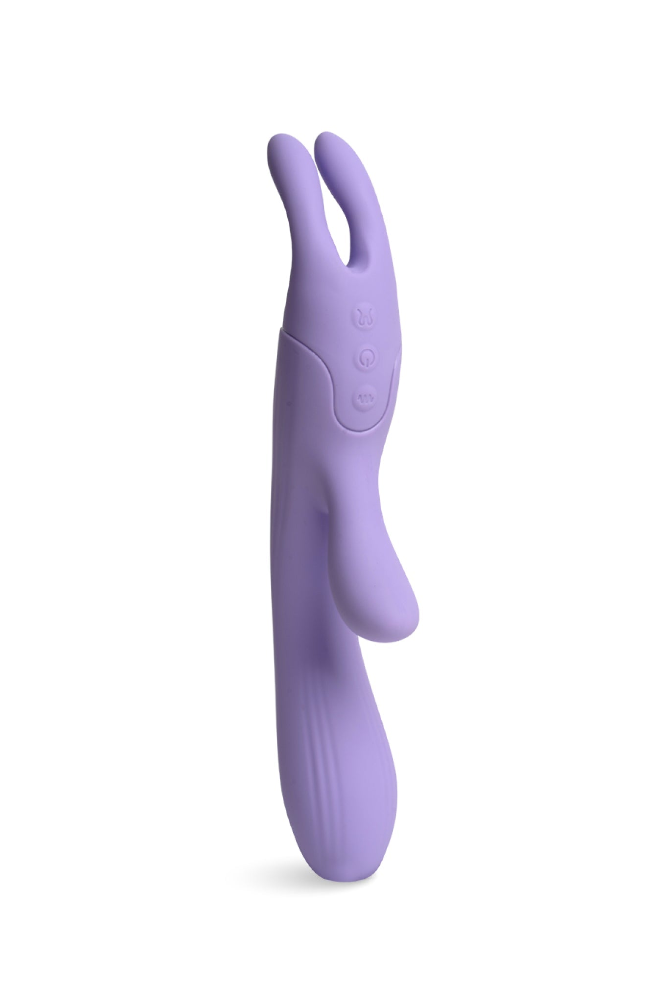 Lavanda (7)