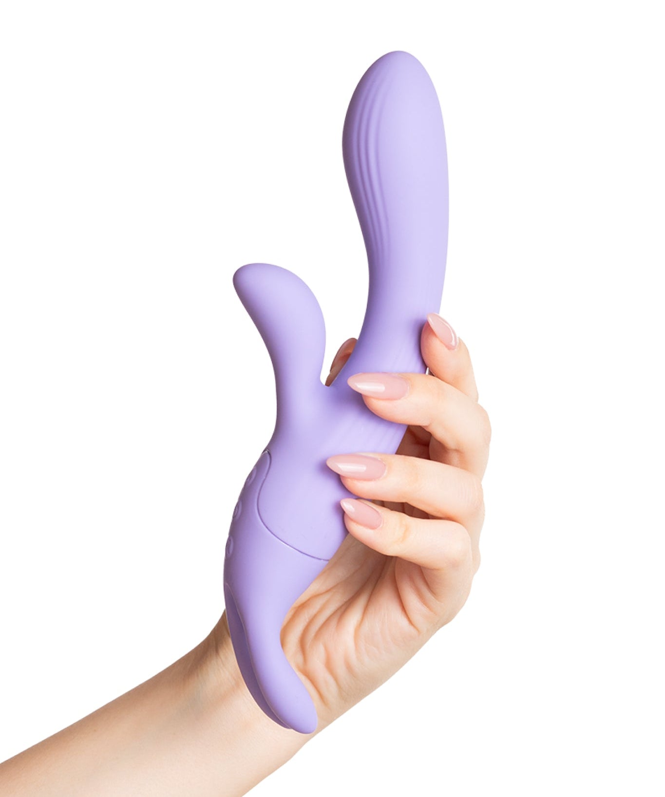 Lavanda (2)