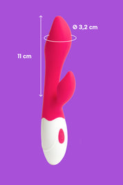 Cleoconcha