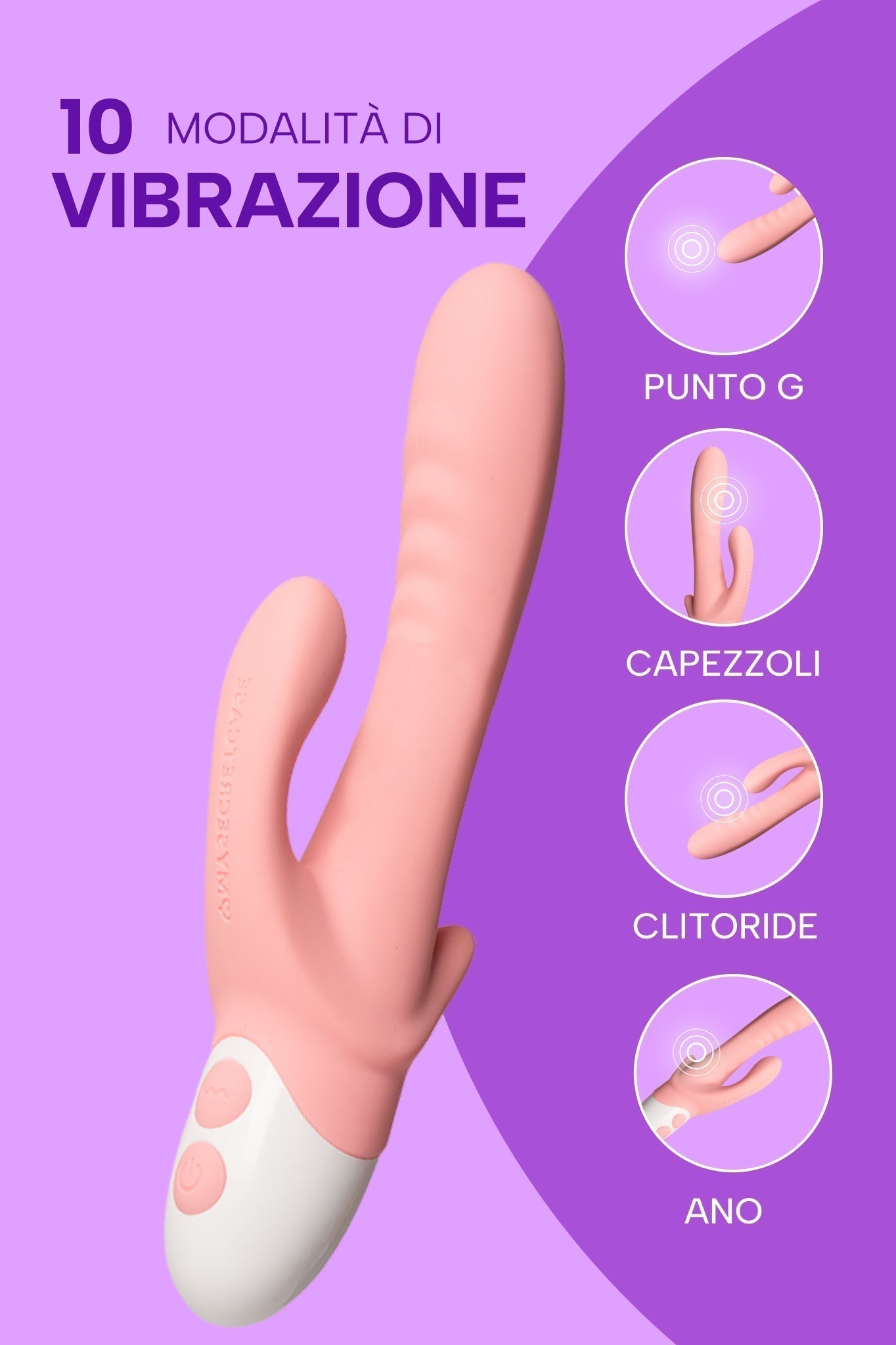 Coniglietto Schizzetto (3)