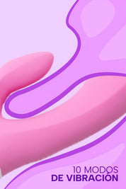 Rabbit Lollipop