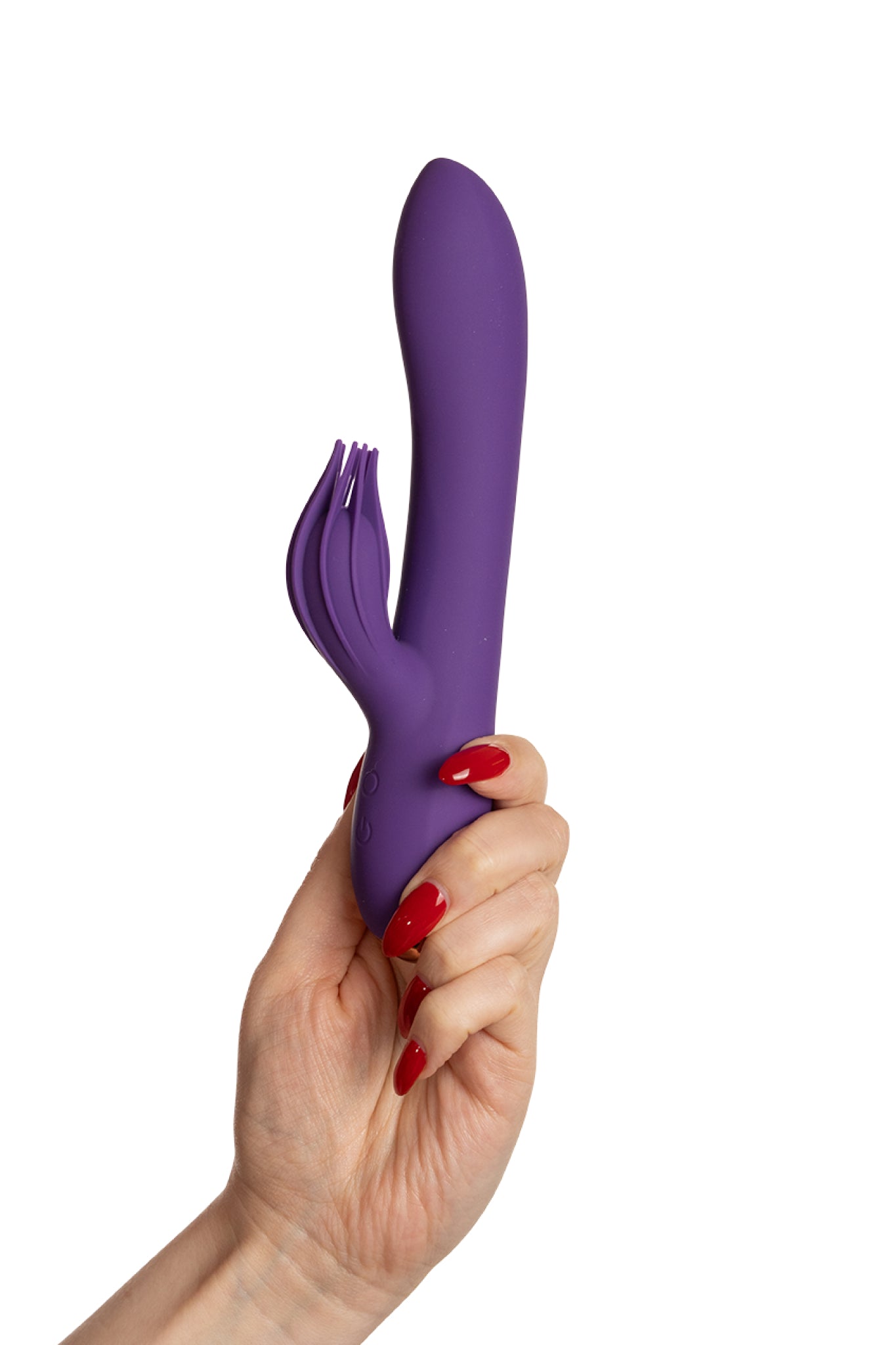 Violetta (2)