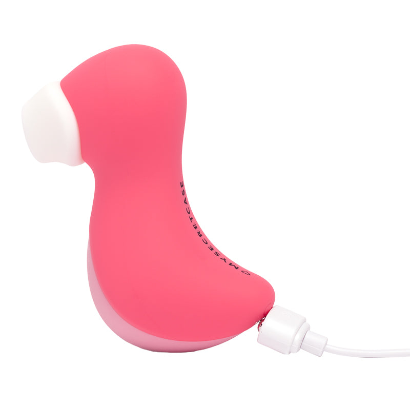 Flamingo (5)